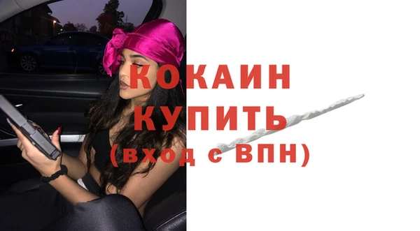 дживик Надым