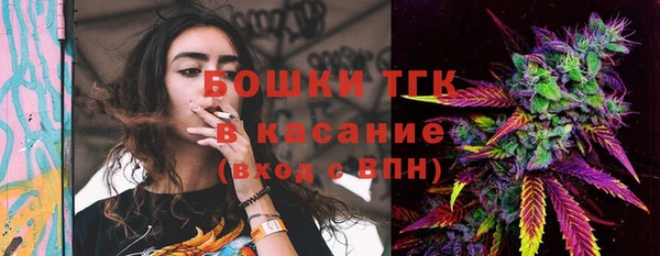 дживик Надым
