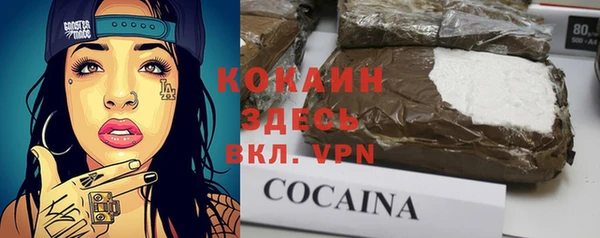 дживик Надым